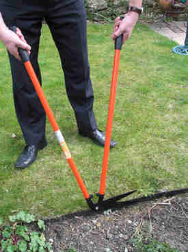 Image of Edging shears for grass